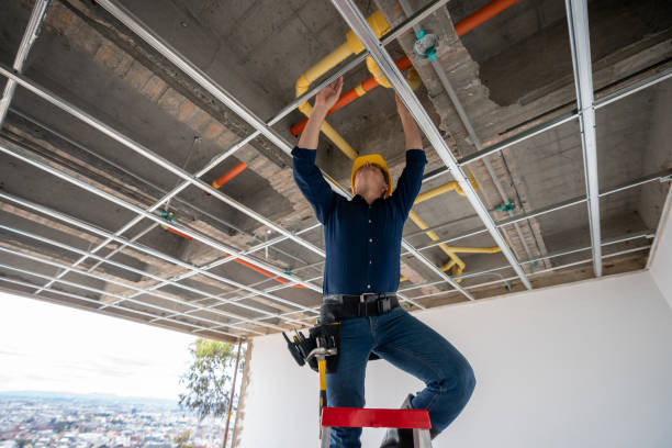 Best Local Plumber Services  in Bridgman, MI