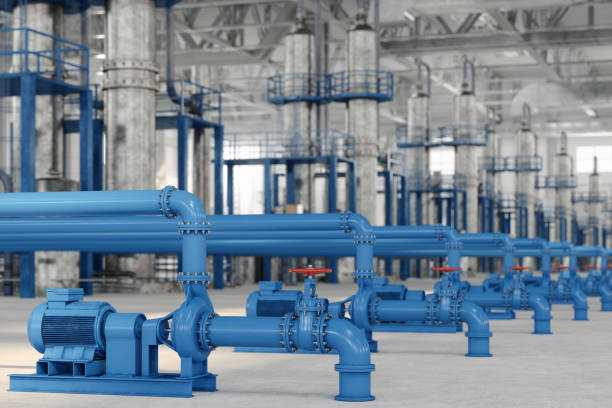 Best Plumbing Inspection Services  in Bridgman, MI