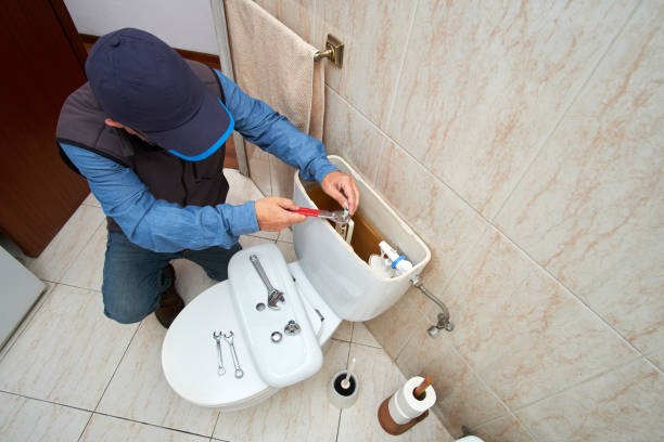 Best Residential Plumbing Services  in Bridgman, MI