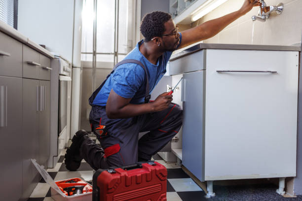 Best Plumbing Installation Services  in Bridgman, MI