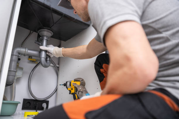 Best Affordable Plumbing Services  in Bridgman, MI